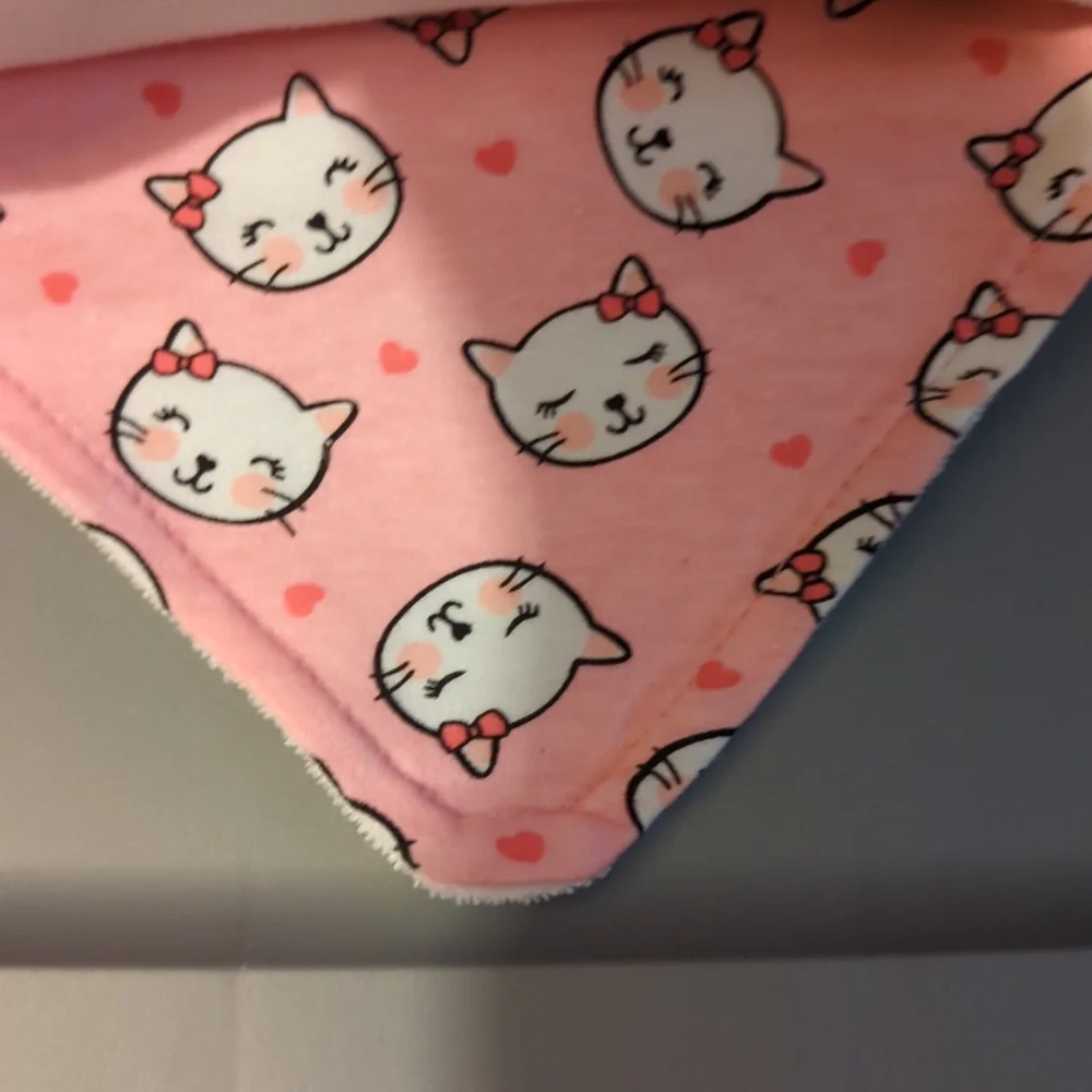 Baby Elements 5 piece Bandana Bib  and 3D Sock Set Cats Hearts Pink - Picture 4 of 7